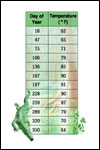 Digitally Illustrated Graph